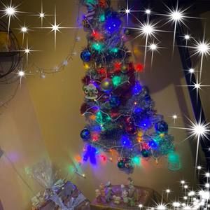 Meet your Posher, Silvia